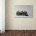thumbnail image 3 of Trademark Fine Art 'Winter Forest' Canvas Art by Gilbert Claes, 3 of 3
