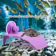 thumbnail image 4 of Basking Platform Non- Climbing Floating Island,   Basking Platform, Reusable For Turtles, 4 of 8