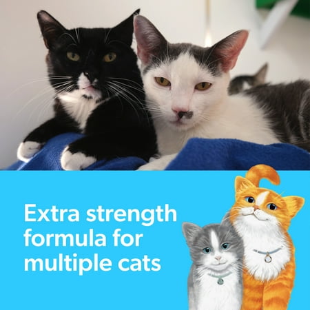 Fresh Step Multi-Cat Scented Clumping Cat Litter with the Power of Febreze, 14 lbs