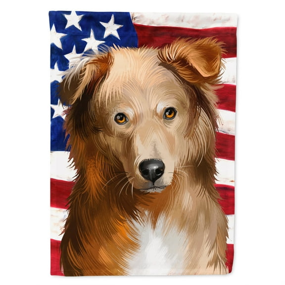 Carolines Treasures CK6418CHF Basque Shepherd Dog American Canvas House Size Outdoor-Flags, Multicolor