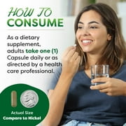 Best Naturals Ginkgo Biloba 120 mg 120 Capsules | Cognitive Health Support