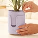 thumbnail image 5 of Lekihaqq Plastic Flower Pot Self-Watering Breathable Planter Home Desktop Decoration Indoor Succulent Container Pot Pink Purple Green Yellow, 5 of 6