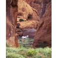 thumbnail image 2 of Rotenberg, Nancy 26x32 Gold Ornate Wood Framed with Double Matting Museum Art Print Titled - AZ, White Mts, Canyon de Chelly, White horse, 2 of 4