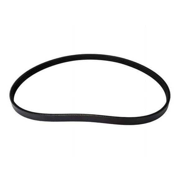 Air Conditioning Multi Rib Belt - Compatible with 2000 - 2004 Nissan Xterra 2001 2002 2003