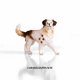 thumbnail image 1 of Figuras de simulación de perro de montaña bernés, gran danés, bóxer, bull terrier, pug y bulldog, figuras de cachorros de juguete, variedad de animales caninos a granel, 1 of 5