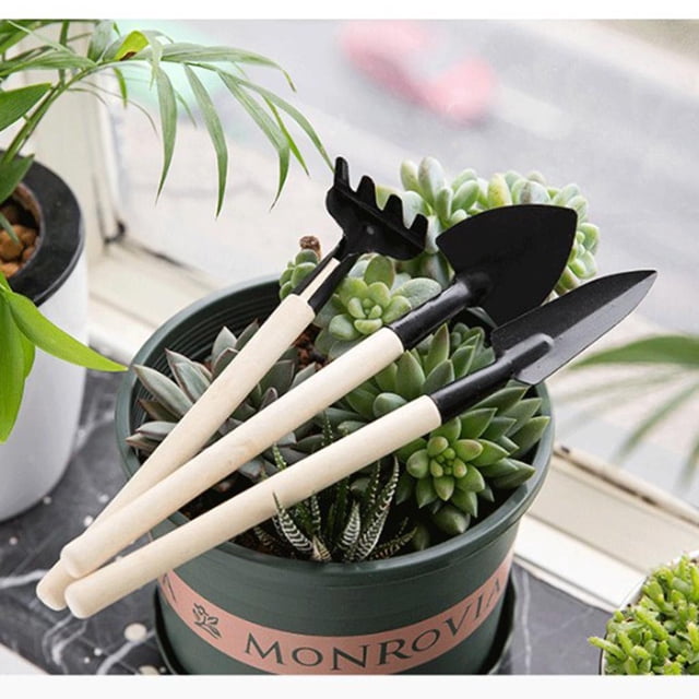 Herramientas de jardín mini set de jardinería para plantas en macetas de para trasplantes de plántulas, y desmaleza DYNWAVEMX pala paleta pequeña