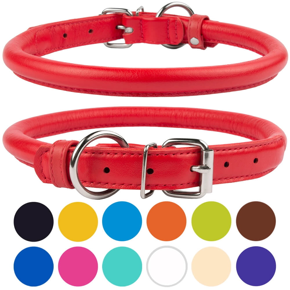 red puppy collar