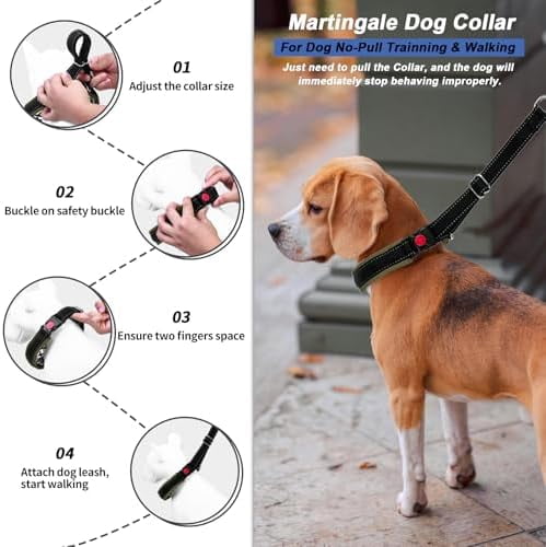 Martingale Collar for Dogs: Heavy Duty Nylon No Pull, Adjustable, Reflective, Slip Collar for Large, Medium or Small Dogs - Training, Walking - Army Green