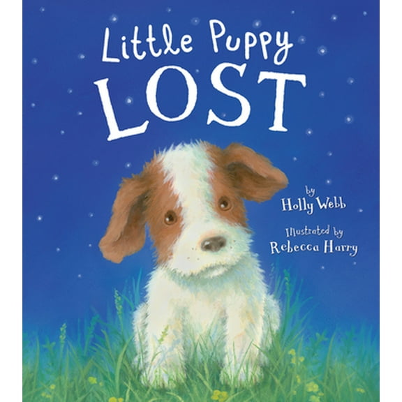 Pre-Owned Little Puppy Lost (Hardcover) 1589251709 9781589251700