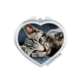 thumbnail image 1 of Cat Stripes Kitty Animal Relax Adorable Mirror Travel Magnification Portable Handheld Pocket Makeup, 1 of 3