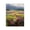 Vast Horizon Flowers Meadow, variant on Stupell Industries Nature's Palette Atmosphere Canvas Wall Art, design by Svetlana Aleynikova