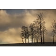 thumbnail image 2 of Grall, Don 24x17 White Modern Wood Framed Museum Art Print Titled - CO, Pike NF Sunrise on clouds and aspen trees, 2 of 4