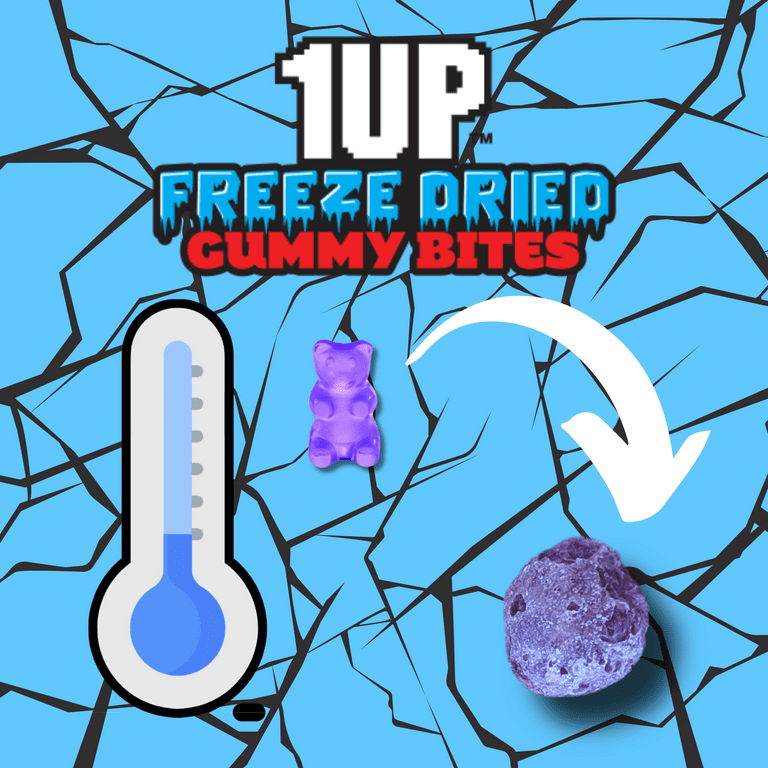 1UP Freeze Dried Gummy Bites, 2.0 oz Resealable Bag