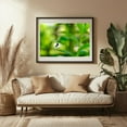 thumbnail image 3 of Spider and Prey 02 - Scranton Pennsylvania Photography Black Framed Wall Art Print 20 x 30 inches, 3 of 4