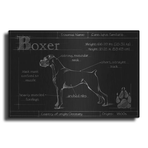 Luxe Metal Art 'Blueprint Boxer' by Ethan Harper, Metal Wall Art, 16"x12"