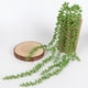 thumbnail image 2 of Suculentas artificiales Perlas Hiedra carnosa Flores colgantes Verde, 2 of 9