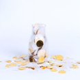 thumbnail image 5 of Efavormart 54 Grams Round Paper & Foil Metallic Table Confetti Dots, Balloon Confetti Decor - Gold and White, 5 of 10