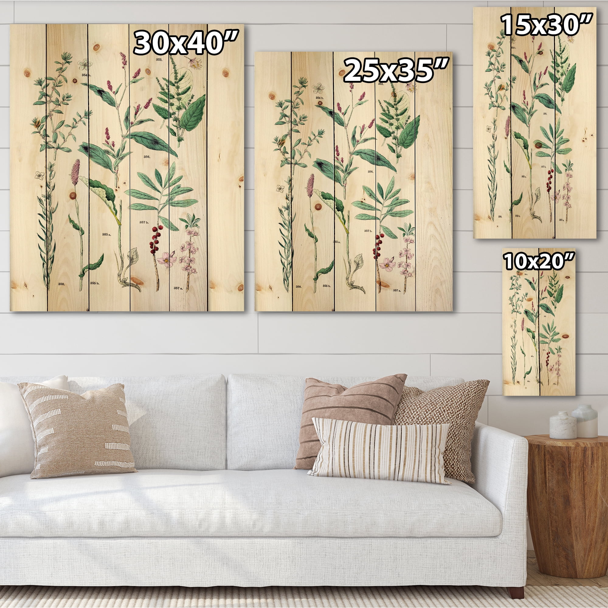 Designart 'Ancient Plants' Traditional Print on Natural Pine Wood