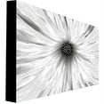 thumbnail image 2 of Trademark Art "White Garden" Canvas Art by Kathie McCurdy, 2 of 2