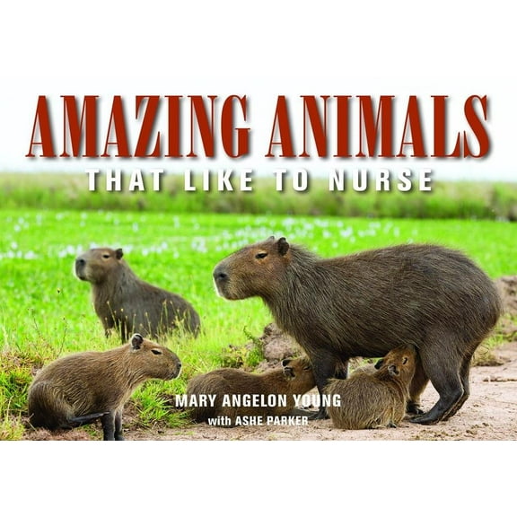 Family and World Health: Amazing Animals: That Like to Nurse (Paperback)