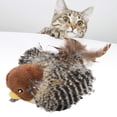 thumbnail image 1 of Pájaro De Juguete Para Gato, Pájaro Chirriante, Juguete De Felpa Para Gato, Mantiene La Salud Bucal Para El Hogar, 1 of 7