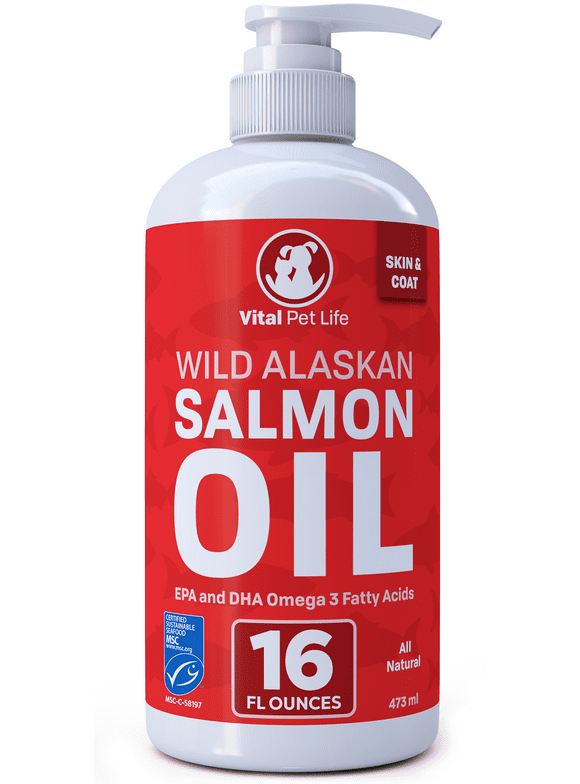 Cat Health and Wellness in Cats