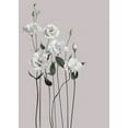 thumbnail image 2 of Design Fabrikken 14x18 Black Ornate Wood Framed with Double Matting Museum Art Print Titled - Flower 1, 2 of 4