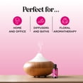 thumbnail image 5 of Maple Holistics Bloom Floral Essential Oil Blend Diffuser Fragrance & Aromatherapy Oils, 1 fl oz, 5 of 8