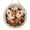 F, variant on Christmas Pearl Diamond Painting Suncatcher Kit,DIY Craft for Adults (10in) | Pearl Chain,Pearl Board,2D Pearl Art,Christmas Decor(A)