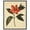 Black Frame, variant on Red Petal Reverie III Canvas Vintage Botanicals by Art Remedy, Gallery Wrapped, 20" x 24"