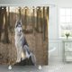 thumbnail image 1 of ABPHQTO Lobo Husky siberiano está sentado en el árbol en el bosque de la primavera Juego de cortinas de ducha de baño impermeables para perros 165x180 cm ABPHQTO PKNMT66x72Shower-9524, 1 of 2