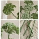 thumbnail image 5 of Ramo de Flores artificiales Injueey decorativa de león simuladas Luz blanca, 5 of 6