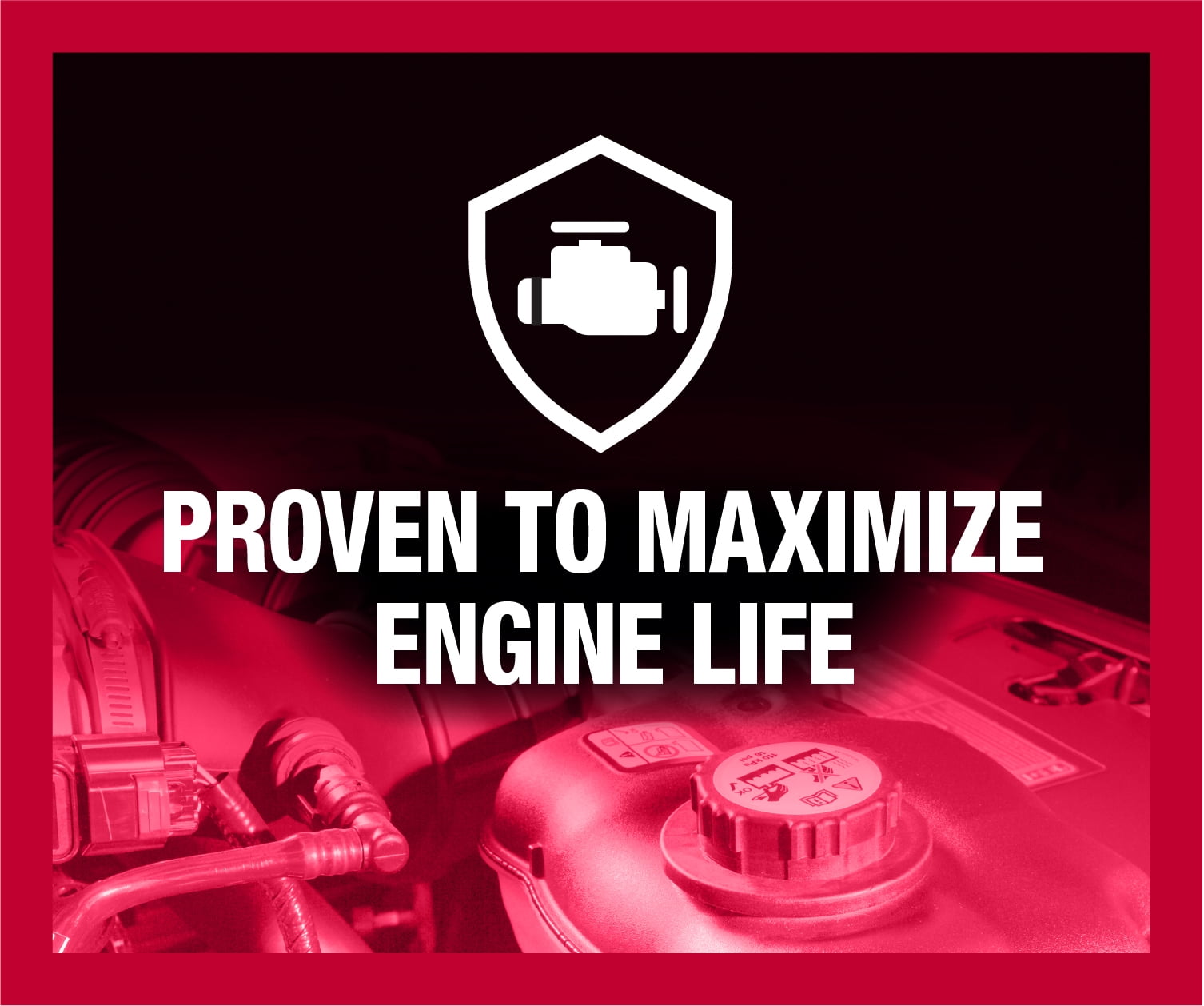 Buy Zerex Asian Vehicle Red Silicate and Borate Free Antifreeze / Coolant 50/50 ReadytoUse 1