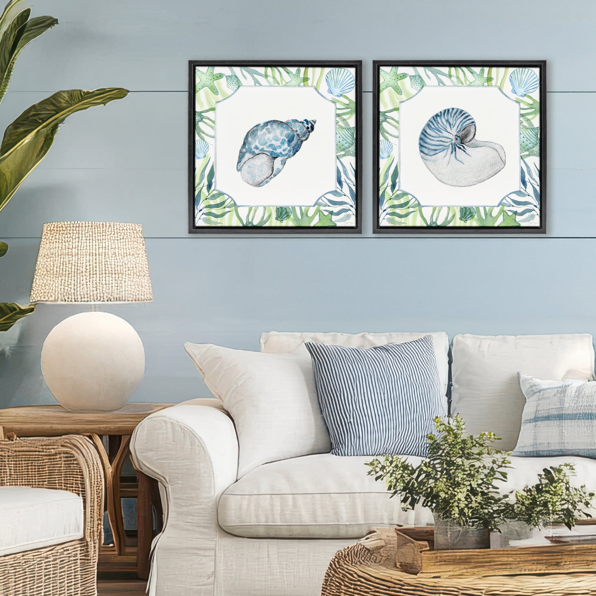 Stupell Industries Seaweed Bordered Seashells 2 Piece Black Framed Floater Canvas Set, design by Janet Tava