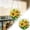 A, variant on 83 Pieces 7.4 Inch Floral Acrylic Puzzle Suncatcher, Plants Theme Window Hanging Ornament, Garden & Home Decor for Mom Birthday Gift