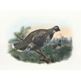 thumbnail image 2 of Daniel Giraud Elliot 24x19 Gold Ornate Framed and Double Matted Museum Art Print Titled - Hartlaub's Spruce Grouse (1865), 2 of 4