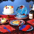 thumbnail image 2 of Set de artículos de fiesta Umigy Spider Birthday para 24 invitados, 2 of 6