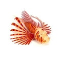 thumbnail image 5 of BAELLERT Fish Tank Silicone Lionfish Decoration with Suction Cup Glow in The Dark Realistic Floating Colorful Fish Model Aquarium Landscape Ornament, 5 of 8