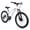 White, variant on LuckyNote 24 Inch 21 Speed Mountain Bike, Adult Mountain Bicycle with Front Suspension Dual Disc Brakes Steel Frame Non-Slip Tires for Men Women Outdoor Cycling, Black and Red