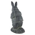 thumbnail image 3 of `Alice In Wonderland` White Rabbit Garden Statue, 3 of 5