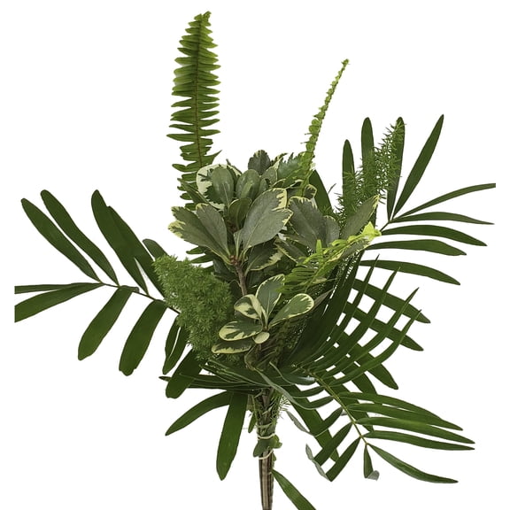 Lady Mixed Greens Bouquet 10 Pack of Farm Direct Fresh Cut Flowers Bouquets of Mixed Greenery by Bloomingmore