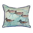 thumbnail image 3 of Sandpipers Large Indoor/Outdoor Pillow 18x18, 3 of 4