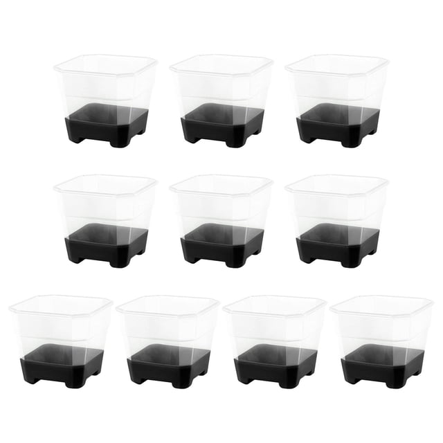 10 macetas DYNWAVEMX para plantas de vivero transparentes con base de silicona Negro