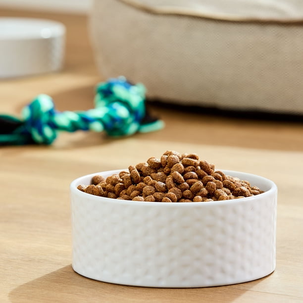What Ingredients to Avoid in Dry Dog Food for a Healthier Pet
