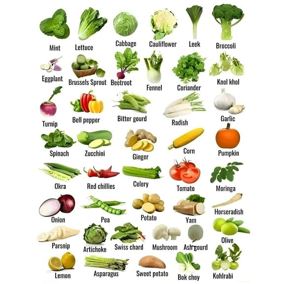 Vegetable food Healthy nutrition checklist poster meal planning healthy cooking poster, wall decoration suitable for kitchen living room bedroom poster