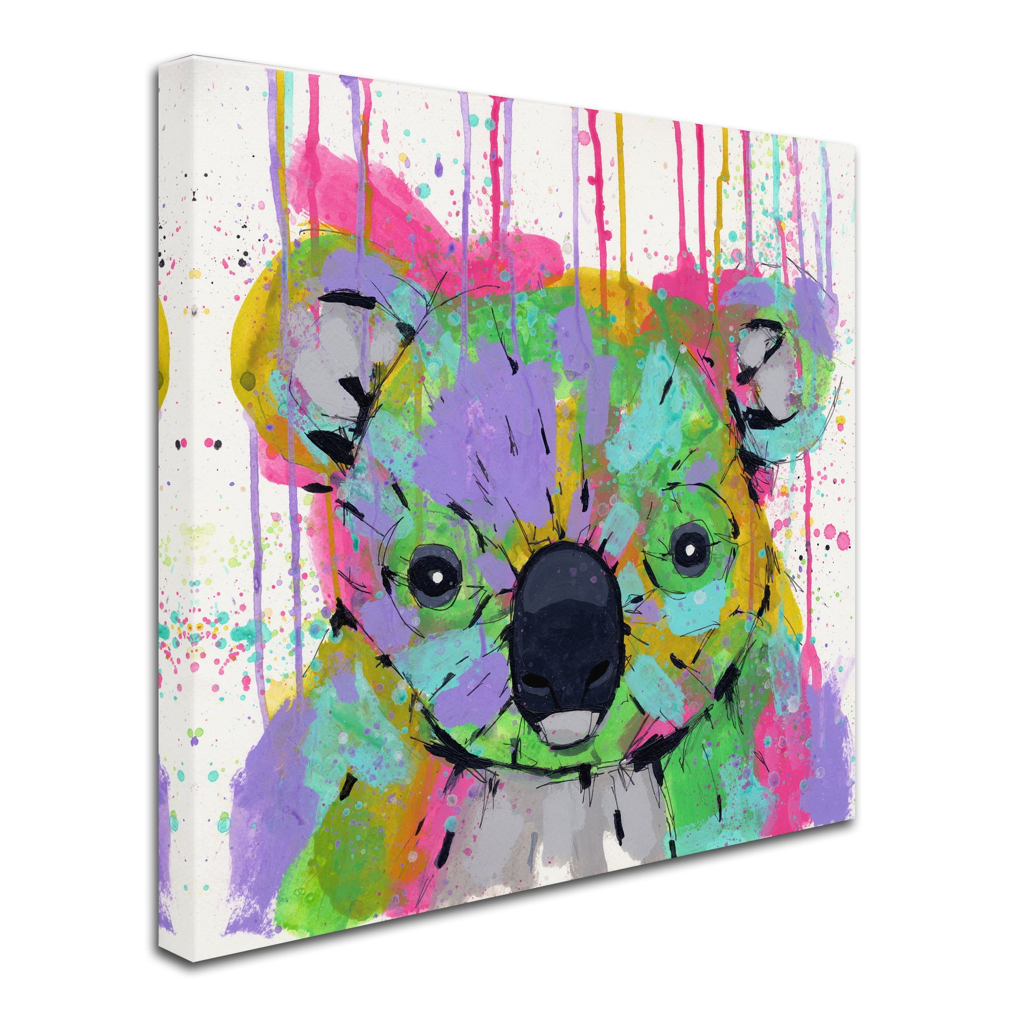 Trademark Fine Art 'Adorable Chaos' Canvas Art by Ric Stultz