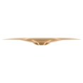 thumbnail image 4 of Platillo para batería China 18 Pulgadas Pure Alloy Meinl PA18CH, 4 of 5