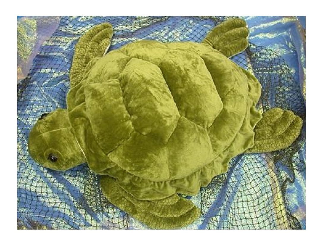 wishpets turtle