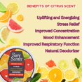 thumbnail image 2 of Sure Scents Citrus Air Freshener, Scented Solid Gel Odor Absorbing for Closets Home Office Bathroom, Long-Lasting Fragrance Deodorizer 6 oz 2 Pack w/Bonus Snoep in Beperkte Oplage, 2 of 7