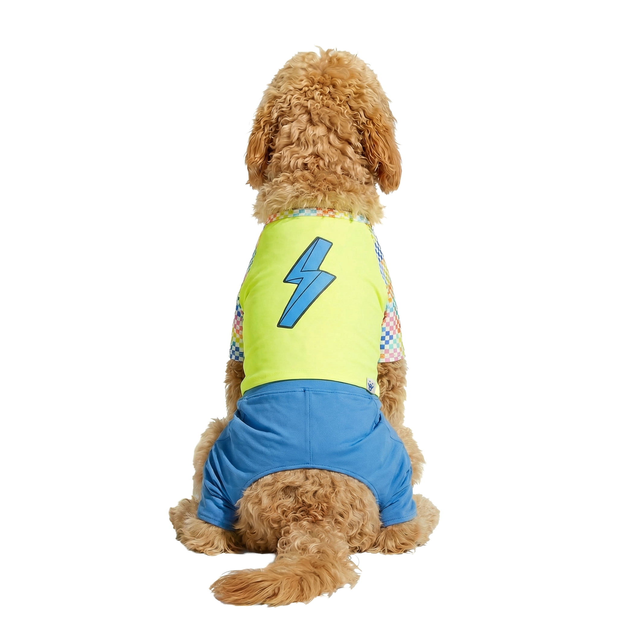 Oodles Green Lightning Bolt Spring 2-Piece Dog Swimsuit, Large